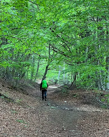 Človek tu má reálny pocit divočiny.