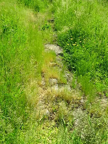 Odkryté základy mlynu