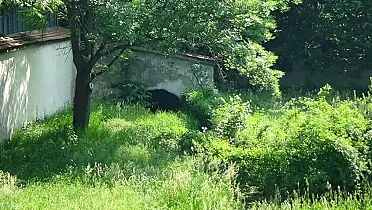 Otvor pre vodný kanál, pre mlyn.