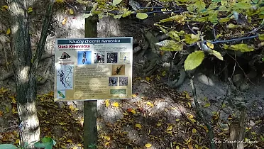 Štvrtá informačná tabuľa o faune a flóre.