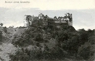 Vlk je možno v húštine skrytý