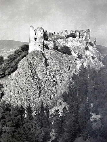 Hradný kopec postupne zarastal.