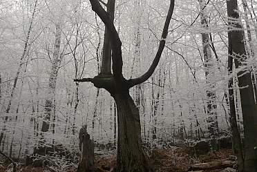 Aj takáto môže byť jeseň.