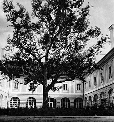 Nádvorie kaštieľa.