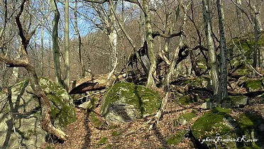 Príroda na Kamenici.