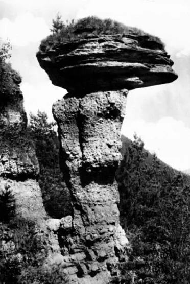 Markušovský skalný hríb v minulosti.