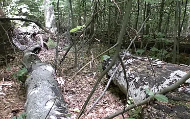 Nedotknutá príroda.