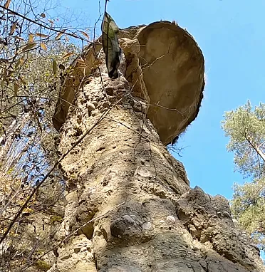 Pod skalným hríbom.