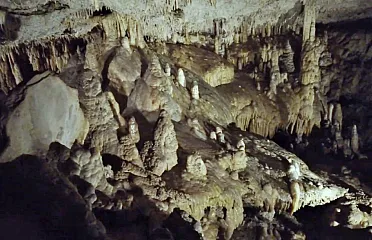 Archív: František Kovár