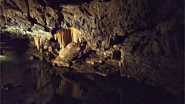 Archív: František Kovár