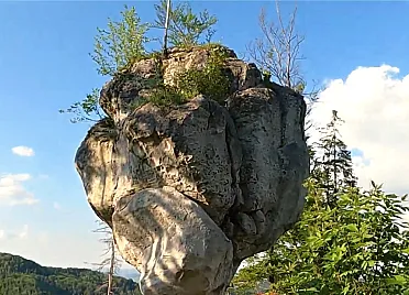 Zarastený vrchol budzogáňu