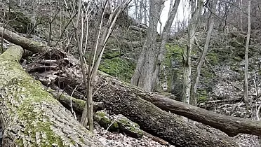 Prístup k vodopádu je cez popadané stromy