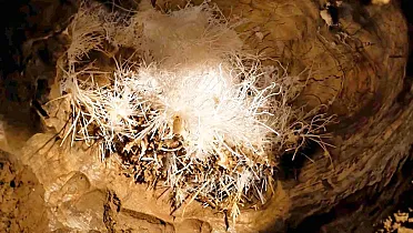 Aragonitové hniezdo