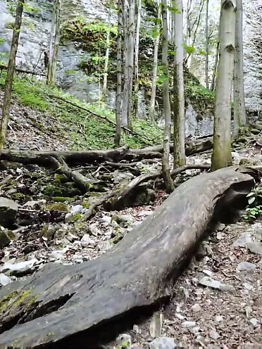 Chodník k vodopádu