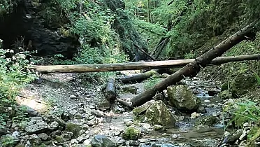 Chodník zbojníka Surovca