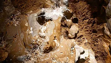 Mladšia generácia aragonitu