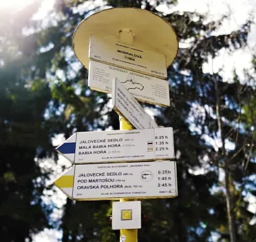 Smerovník na Modralovej