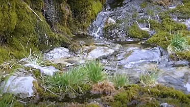 Voda vyviera zo zeme na niekoľkých miestach