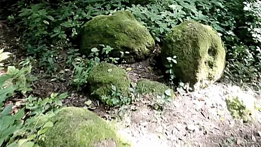 Brusnianske pieskové gule