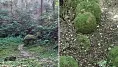 Chrenovec-Brusno