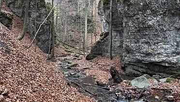 Králická tiesňava