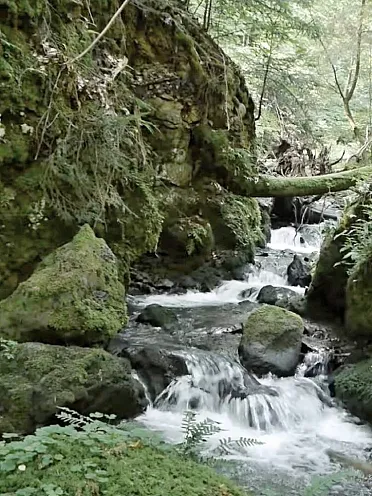 Potok vytvoril krátku malachovsku tiesňavu