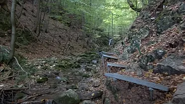 Stúpačky nad potokom