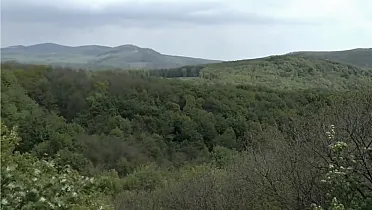 Výhľad z Tisových skál