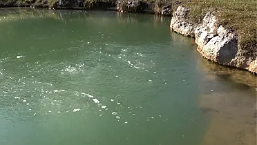 Bublinky na hladine jazera