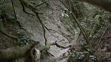 Divoká a tajomná tiesňava