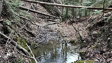 Krásna divoká príroda