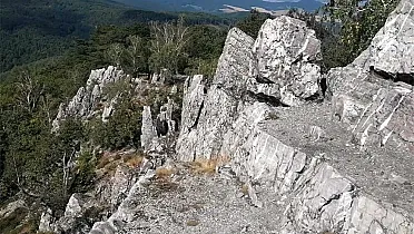 Na vrchole rastú len zakrpatené stromy