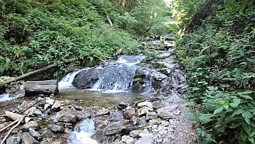 Na začiatku chodníka