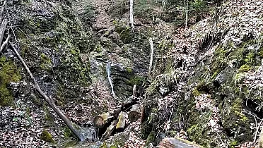 Nedotknutá príroda v rokline