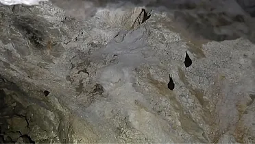 Obyvatelia v jaskyni