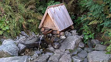 Prírodné občerstvenie