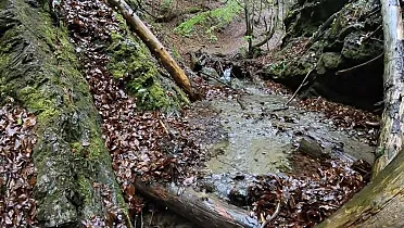 V Lačnovskom kaňone