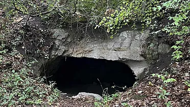 Vstup do väčšej pivnice