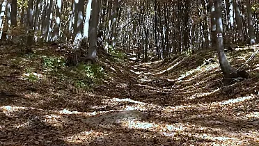 Výstup lesným chodníkom