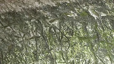 Záhadný nápis v pivnici