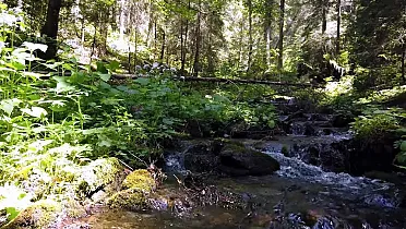 Chodník k vodopádu