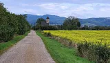 Kostolík Pominovec