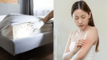 Na Európu útočia 12 centimetrové ploštice