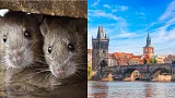 Obľúbená turistická destinácia čelí masívnemu problému