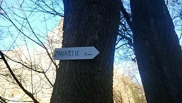Smerovník pod hradom Šášov