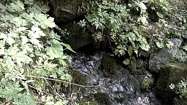 Vyvieračka nad vodopádom