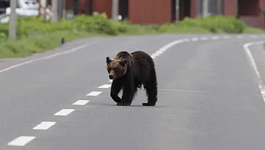Slováci rušia svoje dovolenky