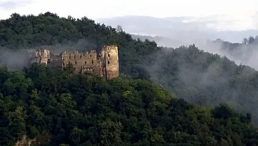 Hrad Šášov