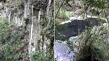 Prírodná pamiatka Sixová stráň