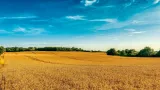 Niektoré produkty z Ruska a Bieloruska budú podliehať novému clu